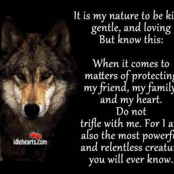 Meet your Posher, Steve - Picture 1 of 1